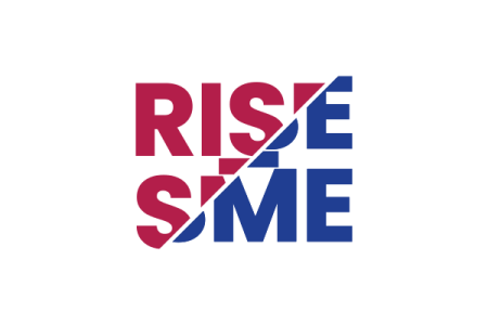 RISE-SME Project